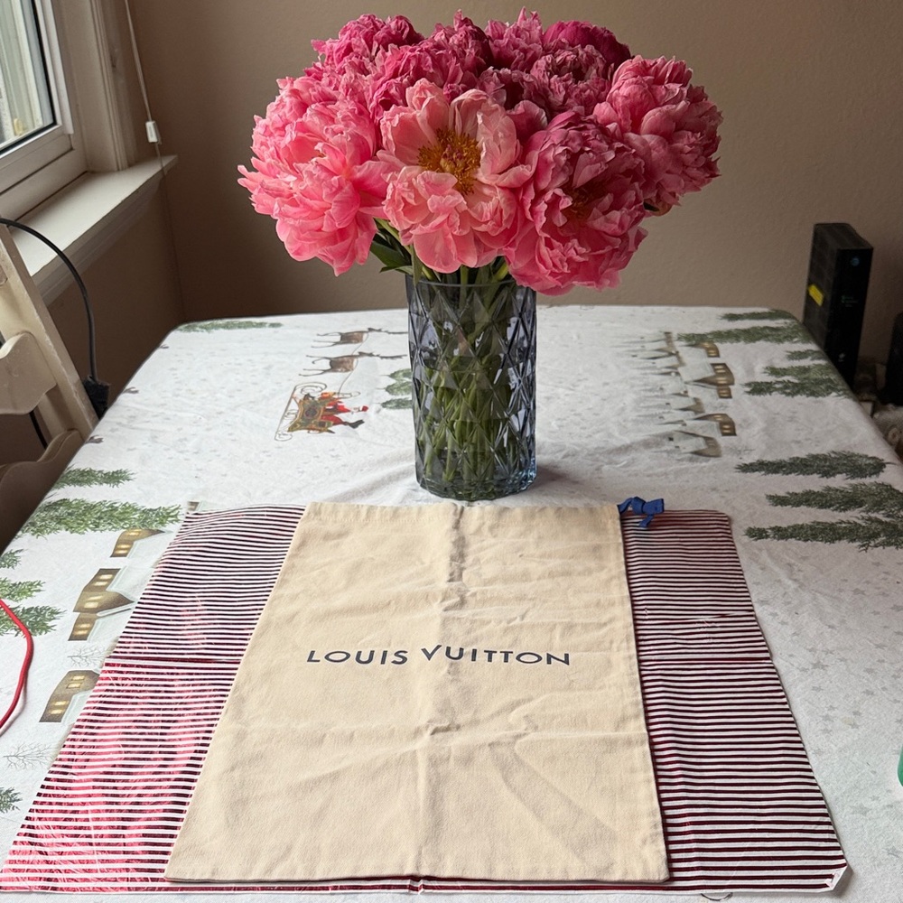 Louis Vuitton Cream and Black Dust Bag